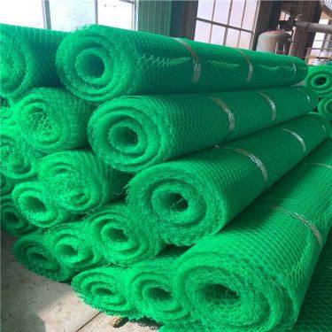 綠色植被網 河池華誼植草網與三維土工網墊的廠家直發優勢